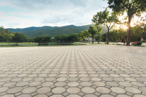 Best Best Driveway Pavers  in Weston Mills, NY